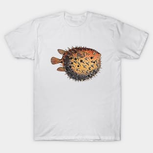 Blowfish drawing T-Shirt